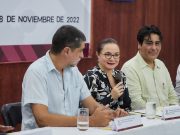 Instalan el primer Comité de Cuenca Insular en la historia de Cozumel