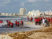 Reportan 50 mil toneladas recogidas durante 2022 en BJ