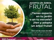 Fomenta gobierno municipal el cuidado del medio ambiente reforestando Cozumel