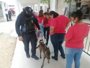 SSP implementa estrategias de orden para acceso al CERESO en BJ