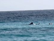 Se hunde una embarcación menor con 10 personas en Isla Mujeres