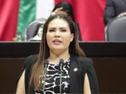 Jaguar Negro | Anahí: Una diputada que va de polémica en polémica
