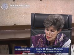 Jaguar Negro | Sigue en suspenso la diputación asignada al MAS en Quintana Roo