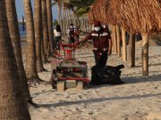 Garantiza gobierno de Ana Patricia Peralta playas limpias de Cancún; se recogieron más de 7 mil toneladas de sargazo en 2022