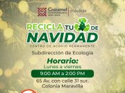Habilita Cozumel centro de acopio para árboles de navidad