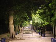 Lili Campos inaugura la luminaria 6 mil en la 5ta Avenida