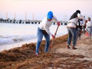 Limpieza de playas, prioridad para el gobierno de Solidaridad