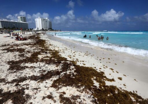 Amenaza primer recale de sargazo a siete playas de Cancún