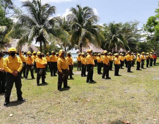 Se une Quintana Roo a paro nacional de Conafor