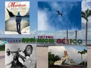 Reseña literaria | Platicando con el Bruno Marín de Magnificens Cancún