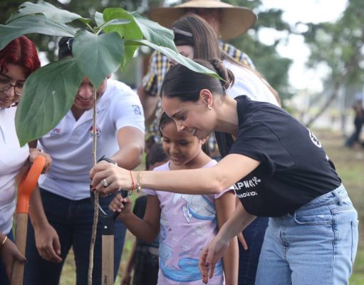 Arranca primer programa de restauración de ecosistemas urbanos «Oasis 4.0» en el municipio de Benito Juárez