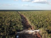 Acusa ONG al gobierno de México mentir a comisión ambiental internacional por el Tren Maya