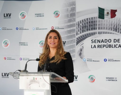 Determina Cofece existencia de prácticas monopólicas en servicio de ferry en Q. Roo