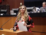 Solicita Marybel Villegas a Segob reconsiderar visas digitales para turistas brasileños