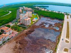 Terrenos de Fonatur serán áreas naturales protegidas, anuncia AMLO