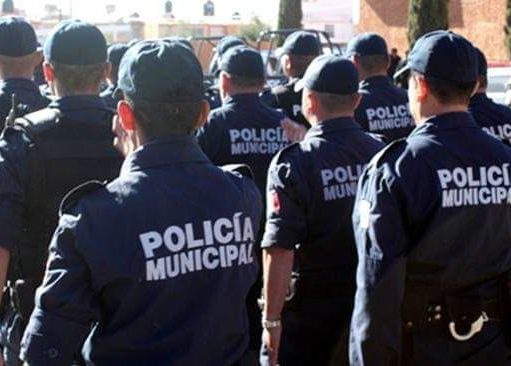 Jaguar Negro | Procedieron 12 de 25 pedidos de remoción de policías en Cancún