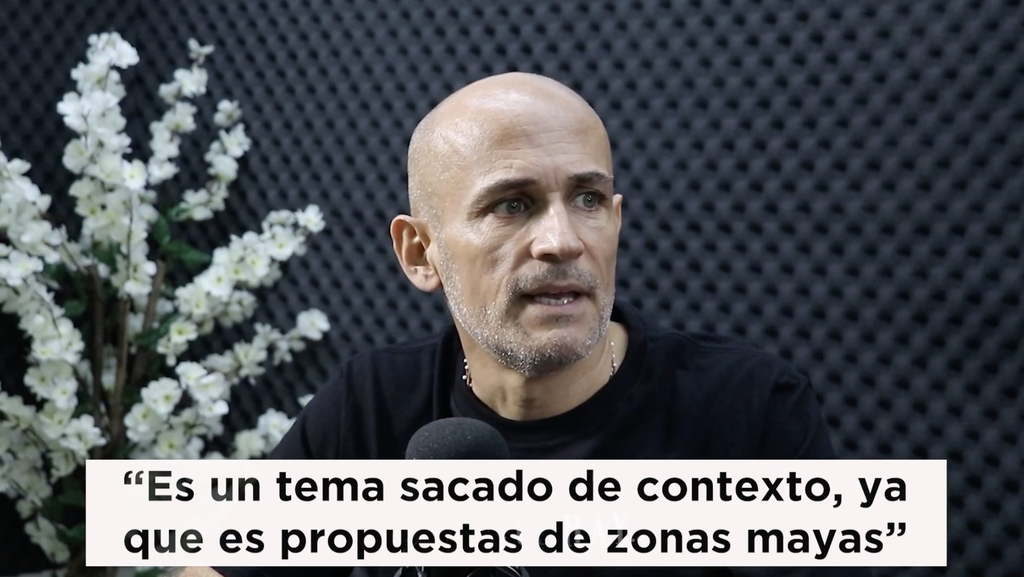 Debate Directo Protección animal
