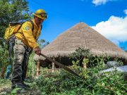 Se anticipan y capacitan para la temporada de incendios
