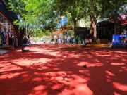 Avanza la renovación de la 5ta Avenida