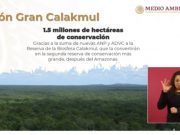 Gran Calakmul será la segunda reserva tropical más grande del mundo: Semarnat