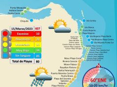Reporta Red de Monitoreo diez playas de Quintana Roo con recale excesivo de sargazo