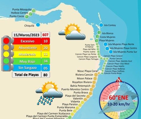 Reporta Red de Monitoreo diez playas de Quintana Roo con recale excesivo de sargazo