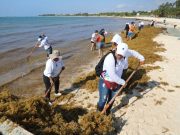 Jornada de limpieza en Punta Esmeralda