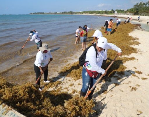 Jornada de limpieza en Punta Esmeralda