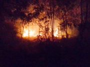 Reportan incendio forestal de 50 hectáreas al norte de Chetumal