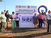 Develan placas por víctimas de feminicidio en Solidaridad