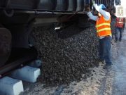 Emite juzgado suspensión provisional contra el transporte de roca para el Tren Maya