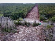 Otorga juzgado suspensión definitiva en cuatro tramos del Tren Maya