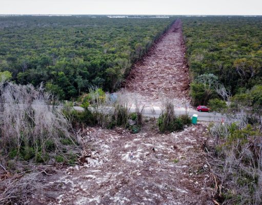 Otorga juzgado suspensión definitiva en cuatro tramos del Tren Maya