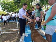Afianza gobierno de Ana Paty Peralta cuidado de las mascotas