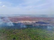 Controlan bomberos el 75% del incendio forestal en San José