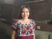 Anuncia diputada Anahí González una reunión con CFE para buscar subsidio para 9 municipios de Q. Roo