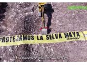 Suma Greenpeace casi 140 mil firmas de un total de 150 mil a favor de conservar la selva maya