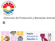 Presenta algunas fallas página para el registro de mascotas en BJ