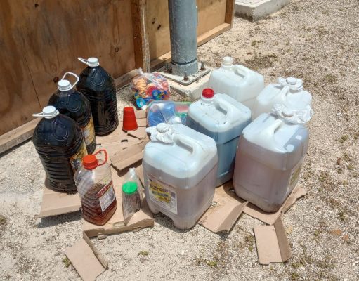 Cuidado y conservación del medio ambiente, prioridad para el gobierno de Lili Campos