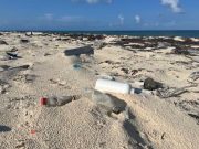 Ecología| Prensa internacional describe a Tulum como un “paraíso repleto de basura”