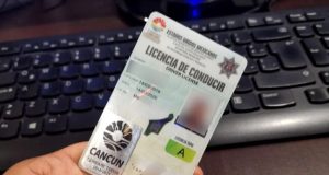 Pájaros en el Alambre| ¿Qué pasará con las licencias de conducir en Quintana Roo?