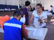 El gobierno de Lili Campos busca reducir fauna callejera con esterilizaciones