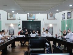 Aprueba Comisión Permanente del Congreso del Estado nueva licencia a Diana Laura Nava para separarse de su cargo