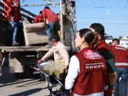 Refuerza Ana Paty Peralta erradicación de criaderos de mosquitos para prevenir enfermedades