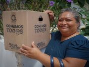Comienza segunda entrega de paquetes alimentarios «Comemos Tod@s» en BJ: Pablo Bustamante