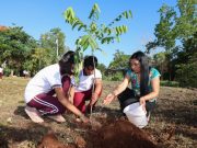 Encabeza Blanca Merari Jornada de reforestación en la secundaria «Francisco Zarco»