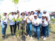 Refuerza Ana Paty la reforestación en Cancún con más de 12 mil metros cuadrados
