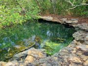 Tendrá 9 áreas de protección de flora y fauna Quintana Roo