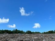 Autorizan a Siresol buscar un nuevo sitio para construir celda emergente para depositar basura