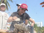 Participa Ana Paty Peralta en limpieza de playas del municipio de Benito Juárez